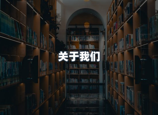 专业团队